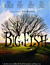 Big Fish